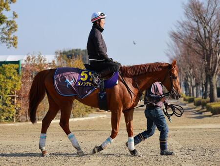 ダノンデサイル