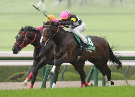 第３５回チャーチルダウンズカップを制したアスクイキゴミ（撮影・坂部計介）