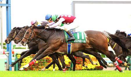 大外から差し切ったスズハローム（手前）