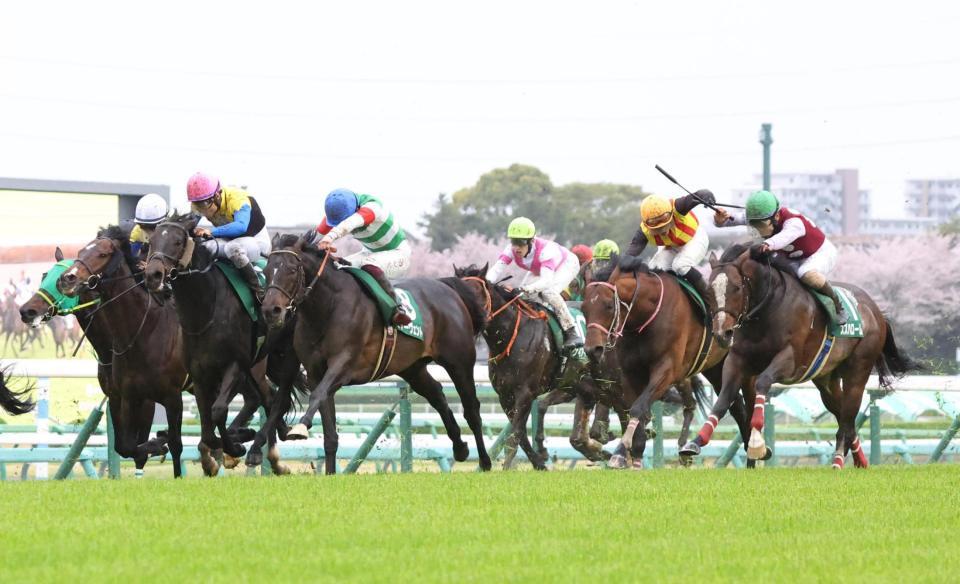 大外からまとめて差し切るスズハローム（右端）。左から３頭目はサイルーン