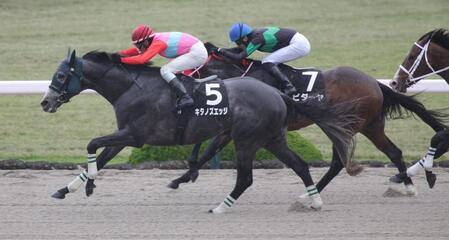 ポラリスＳを制したキタノズエッジ（撮影・坂部計介）