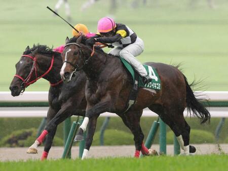　チャーチルダウンズカップを制したアスクイキゴミ（撮影・坂部計介）