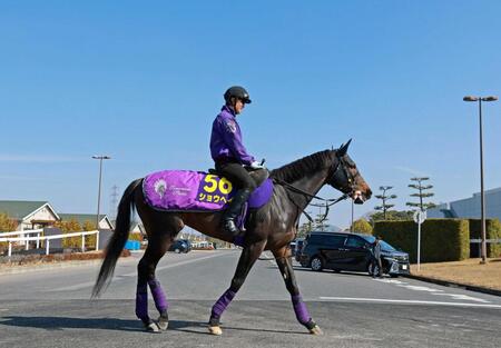 　得意の中距離でＧ１初制覇を狙うショウヘイ
