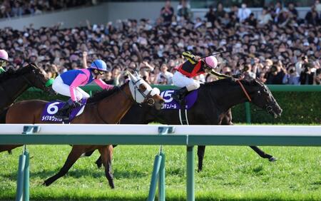 メイショウタバル（左）とのたたき合いを制したクロワデュノール（撮影・坂部計介）