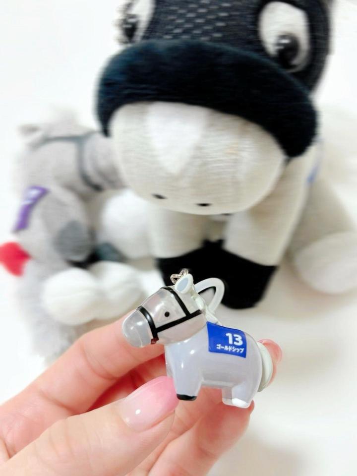 可愛すぎるゴールドシップです♡