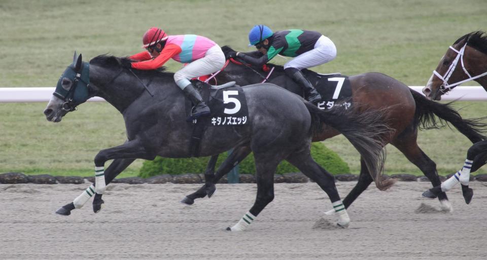 ポラリスＳを制したキタノズエッジ（撮影・坂部計介）