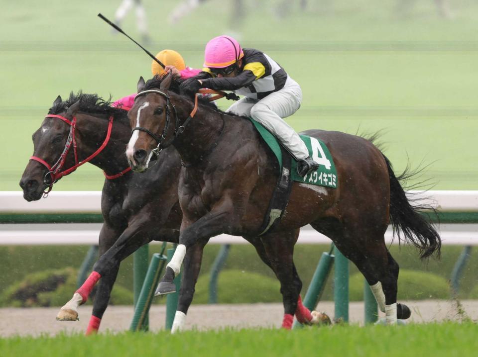 　チャーチルダウンズカップを制したアスクイキゴミ（撮影・坂部計介）