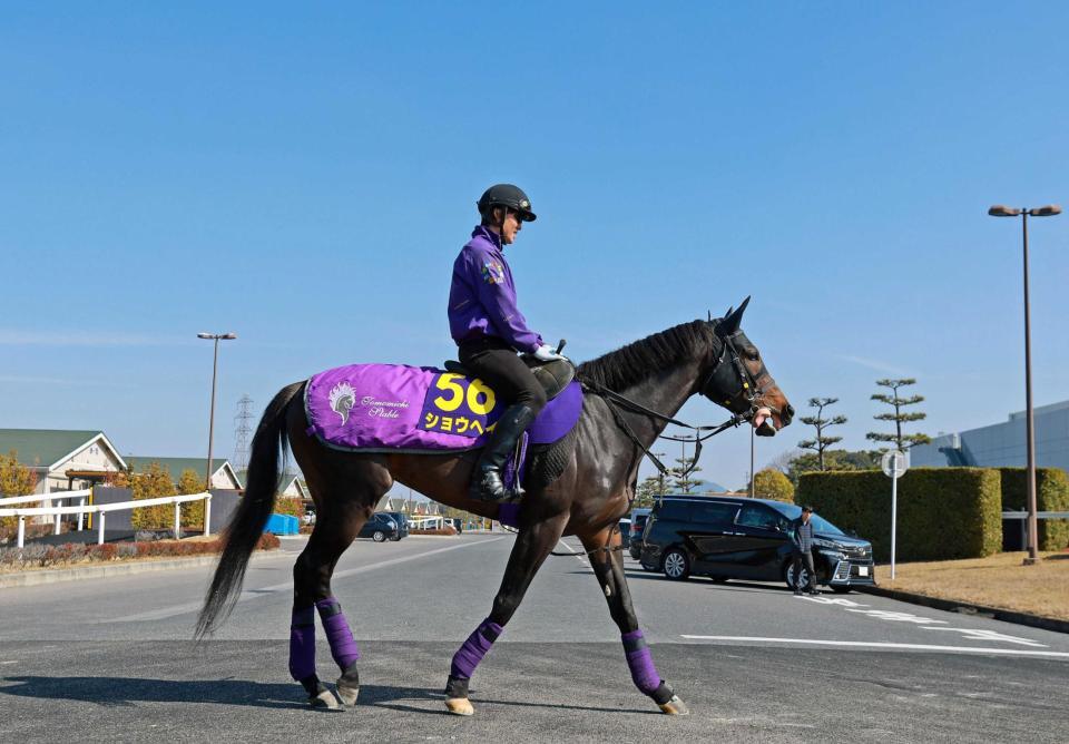 　得意の中距離でＧ１初制覇を狙うショウヘイ
