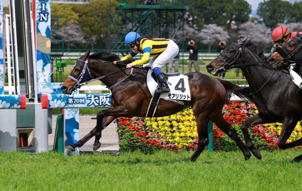 モアリジット（撮影・石湯恒介）