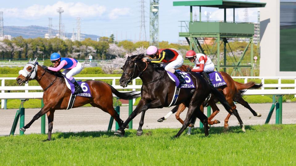 ゴール寸前でメイショウタバル（左）を捉えるクロワデュノール（撮影・石湯恒介）