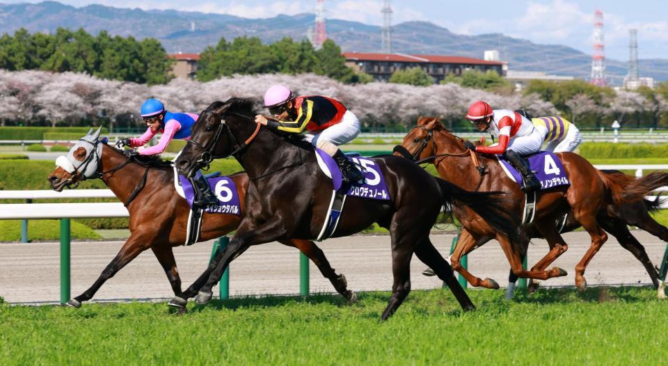 ゴール寸前でメイショウタバル（左）を捉えるクロワデュノール（中央）＝撮影・石湯恒介