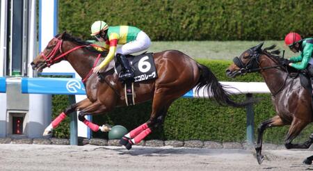 　追いすがる後続を振り切り、１着でゴールしたエコロレーヴ（撮影・坂部計介）