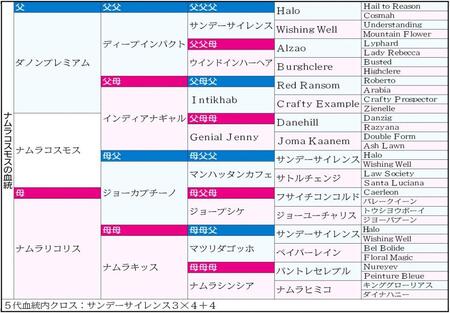 ナムラコスモスの５代血統表