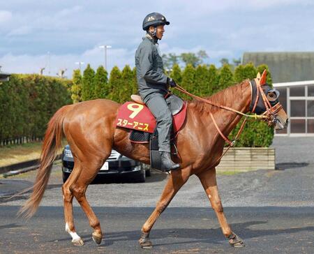 　阪神ＪＦからの直行で１冠目ゲットを狙う２歳女王スターアニス