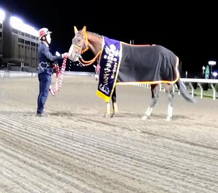 クラウンカップを制したシーテープ