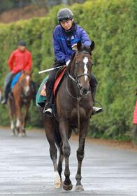 　データ班が猛プッシュするドリームコア