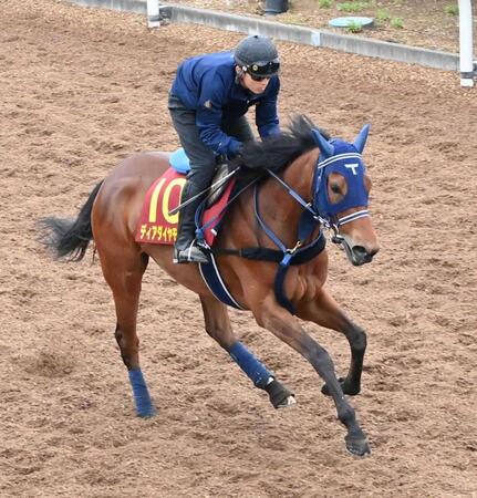 美浦坂路で調整されるディアダイヤモンド（撮影・持木克友）