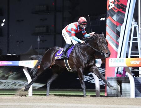 川崎記念を制したカゼノランナーと西村淳也＝川崎競馬場