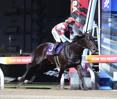 川崎記念を制したカゼノランナーと西村淳也＝川崎競馬場
