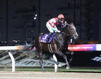 川崎記念を制したカゼノランナーとガッチポーズする西村淳也＝川崎競馬場