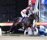 川崎記念を制したカゼノランナーと西村淳也＝川崎競馬場