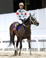 ３着に敗れたアウトレンジ