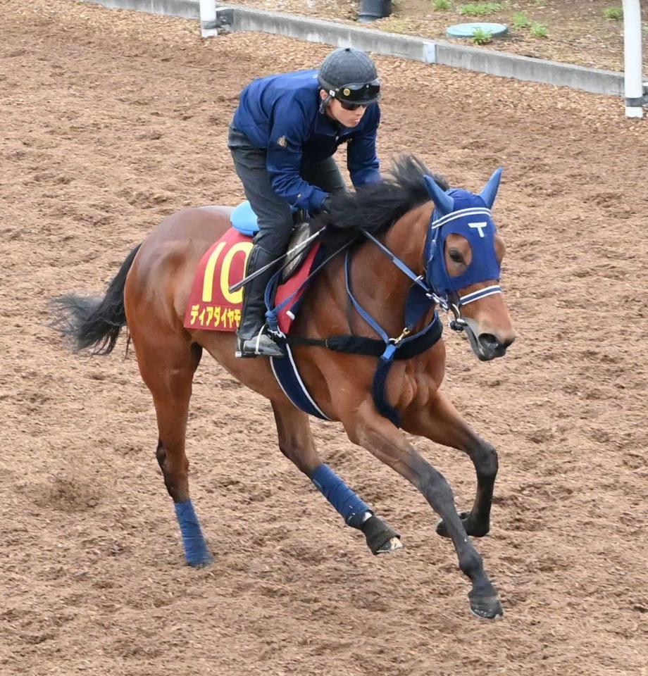 美浦坂路で調整されるディアダイヤモンド（撮影・持木克友）