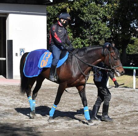 トクシーカイザーに乗ってきゅう舎に引き上げるきゅう務員になった国枝栄元調教師（左）＝撮影・持木克友