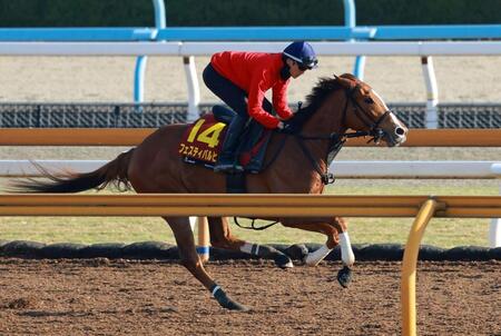坂井瑠星を背に栗東ＣＷで追い切るフェスティバルヒル（撮影・石湯恒介）