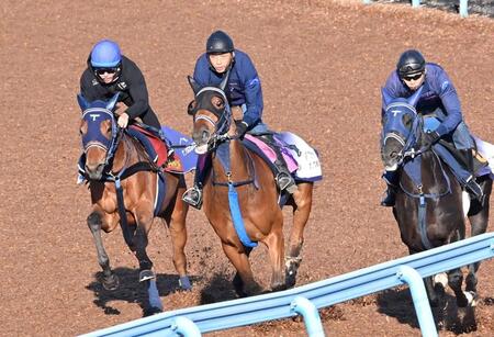 　３頭併せで軽快な動きを見せたディアダイヤモンド（左）＝撮影・持木克友