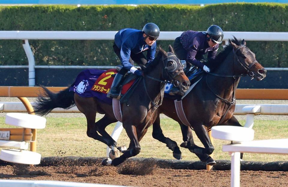 栗東ＣＷで追い切るアランカール（左）＝撮影・石湯恒介