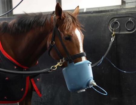 　運動を終えたフェスティバルヒル（撮影・中田匡峻）