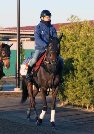 ルールザウェイヴ