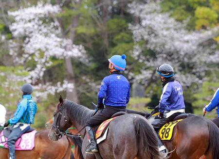 桜制覇を見据えるナムラコスモス