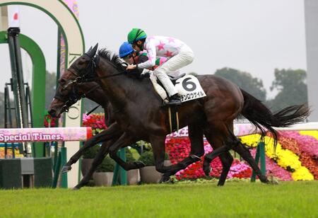 マテンロウゲイル