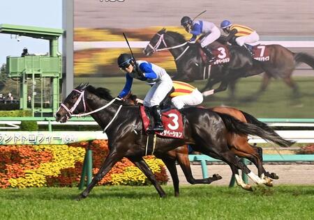 ニュージーランドＴを制したレザベーション（撮影・持木克友）