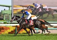 ニュージーランドＴを制したレザベーション（撮影・持木克友）