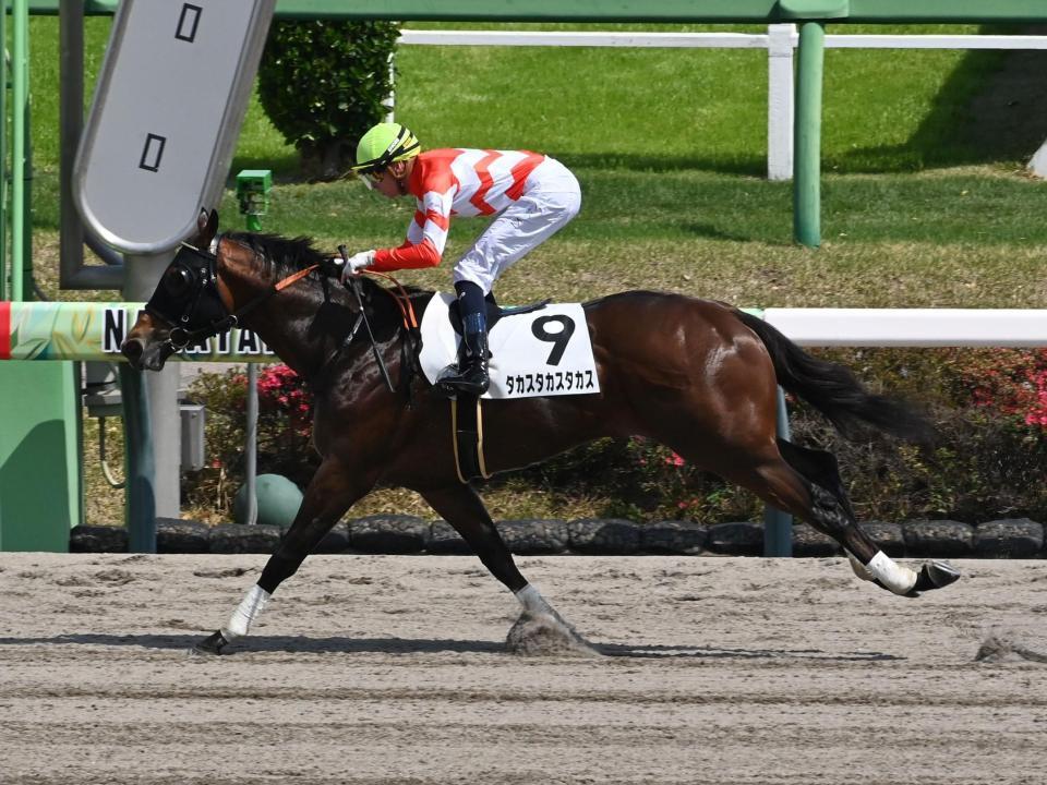 ７Ｒ３歳１勝クラスを勝ったタカスタカスタカス（撮影・持木克友）