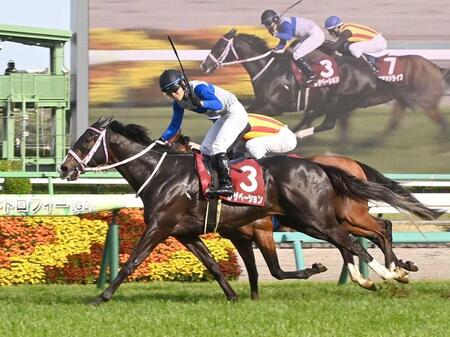 　１１ＲニュージーランドＴを制したレザベーション（撮影・持木克友）