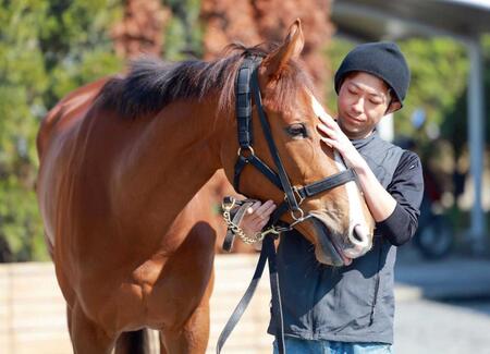 　復帰戦で強敵に挑む良血馬フェスティバルヒル