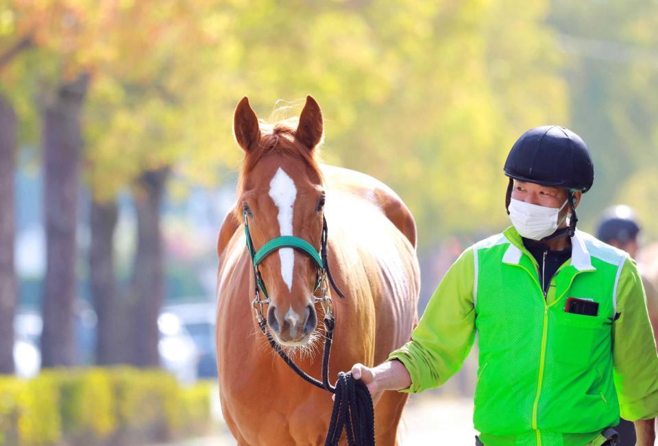 　スウィートハピネス