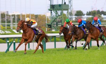 力強く抜け出すスターアニス（左）＝撮影・石湯恒介