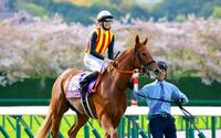 　桜花賞を制したスターアニス＝阪神競馬場（撮影・石湯恒介）