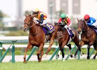 　桜花賞を制したスターアニス＝阪神競馬場（撮影・中田匡峻）