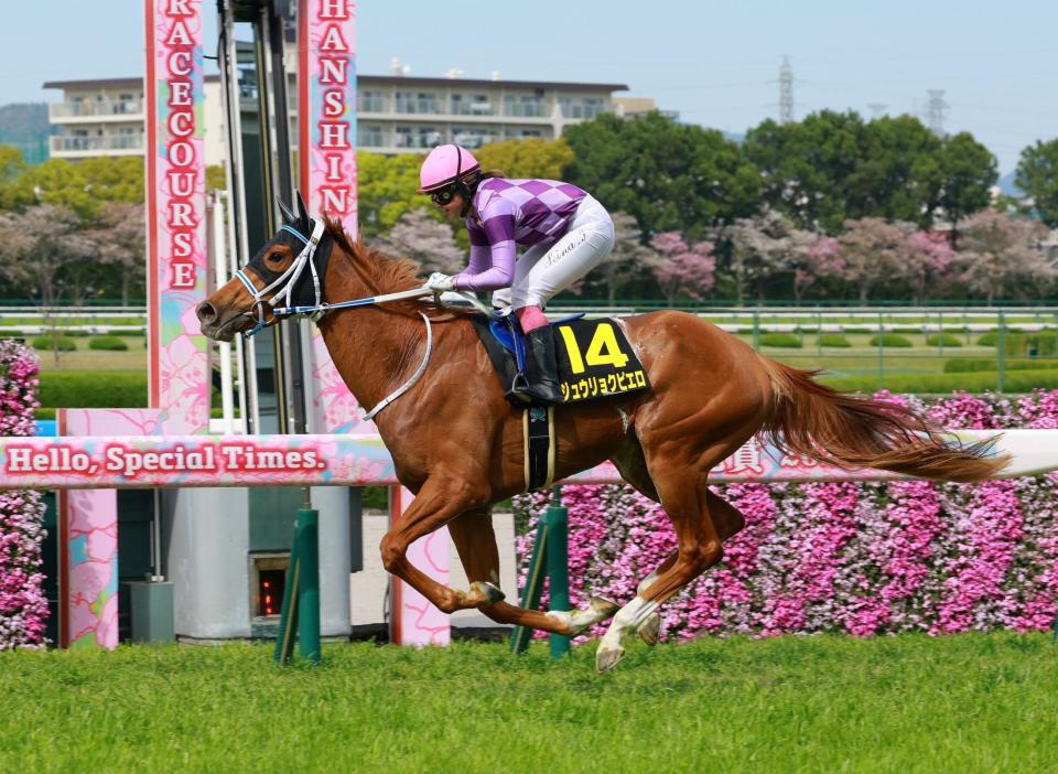 忘れな草賞を制したジュウリョクピエロ（撮影・石湯恒介）