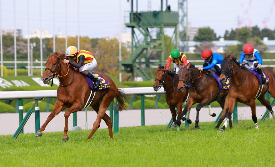 力強く抜け出すスターアニス（左）＝撮影・石湯恒介