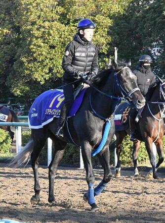 データ班が推すリアライズシリウス