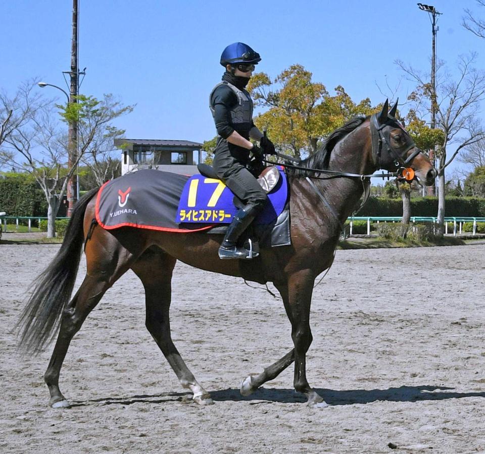 ３頭のなかで最も仕上がり具合がいいライヒスアドラー