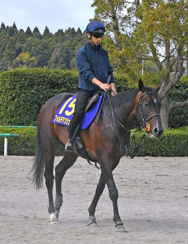 上原佑勢の中で“優等生キャラ”のフォルテアンジェロ