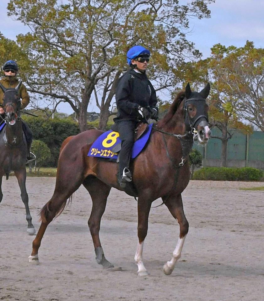 上原佑勢の３本の矢のなかで大将格のグリーンエナジー　